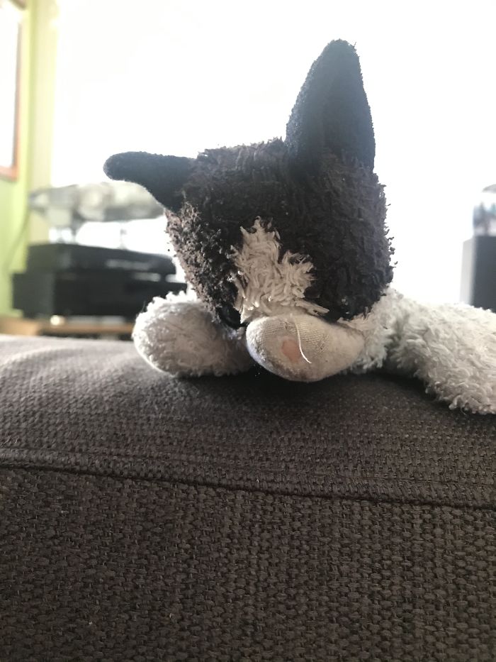 Softey-Had Her Since I Was Born Given To Me By My Nanna And Kept Ever Since