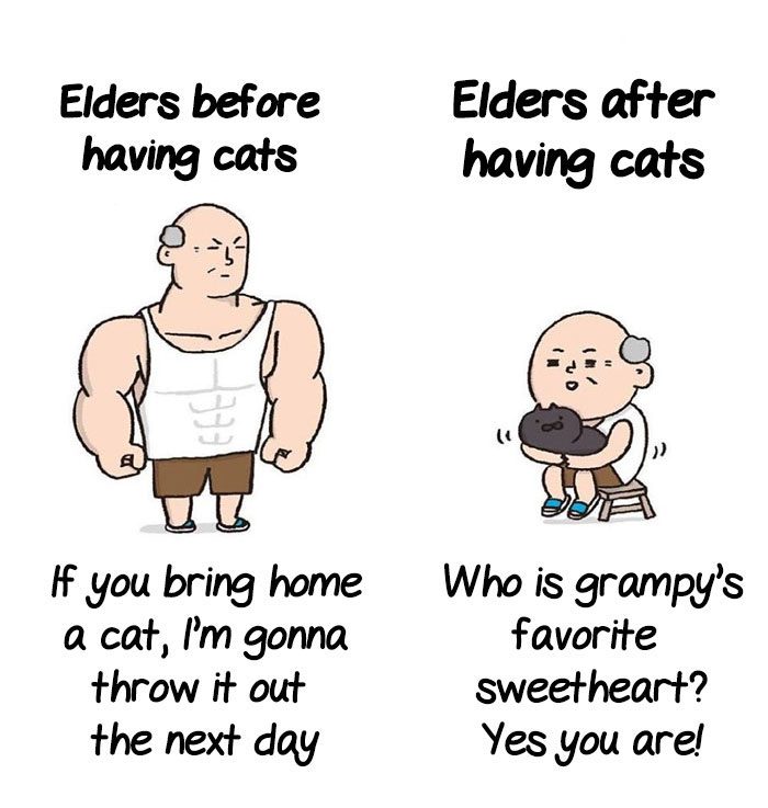 5 Untold Struggles Of Having A Cat