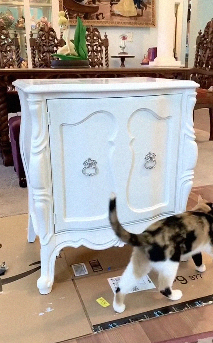 Mom Transforms Her House Into A Disney Fairytale (35 Pics)