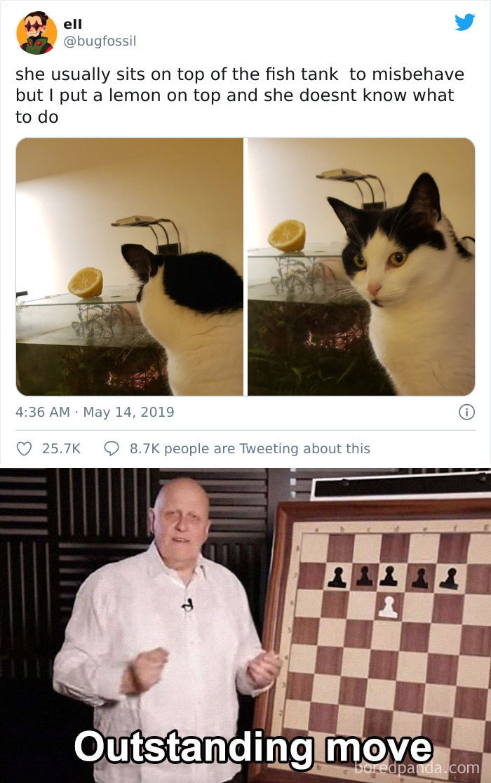 Outstanding-Move-Jokes