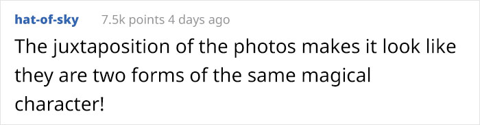 Photographer Finds A Surprise Visitor When Checking Pics On His Camera Trap