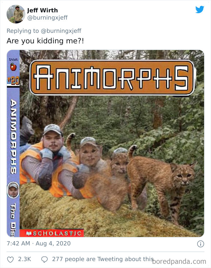 Photographer Finds A Surprise Visitor When Checking Pics On His Camera Trap Photographer Finds A Surprise Visitor When Checking Pics On His Camera Trap