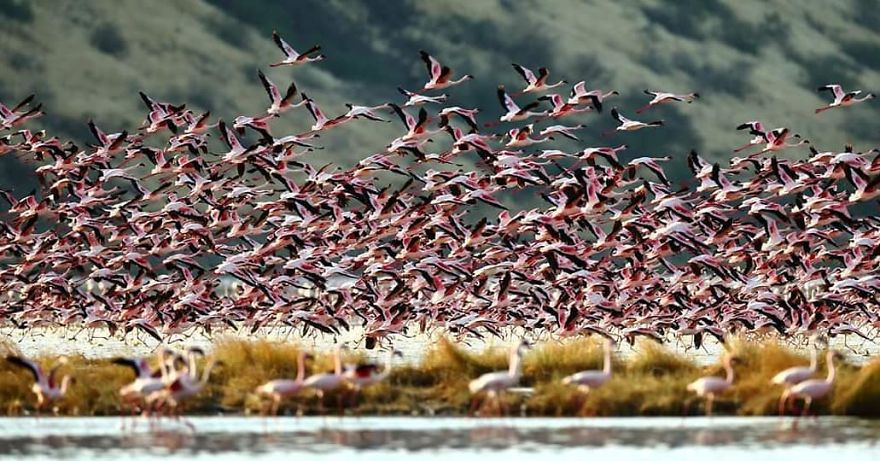 This Russian Photographer Travels To Dangerous Places To Show The Beauty Of Wildlife
