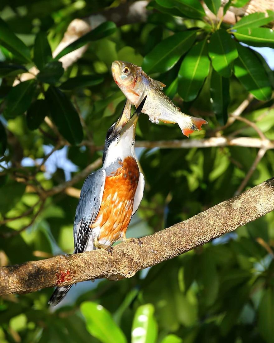 This Russian Photographer Travels To Dangerous Places To Show The Beauty Of Wildlife
