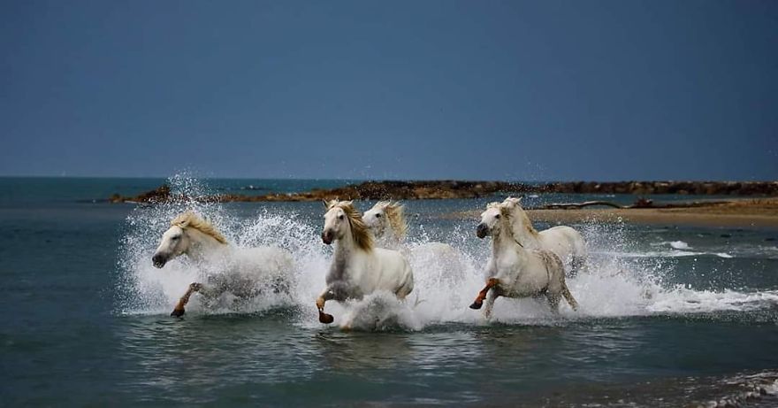 This Russian Photographer Travels To Dangerous Places To Show The Beauty Of Wildlife