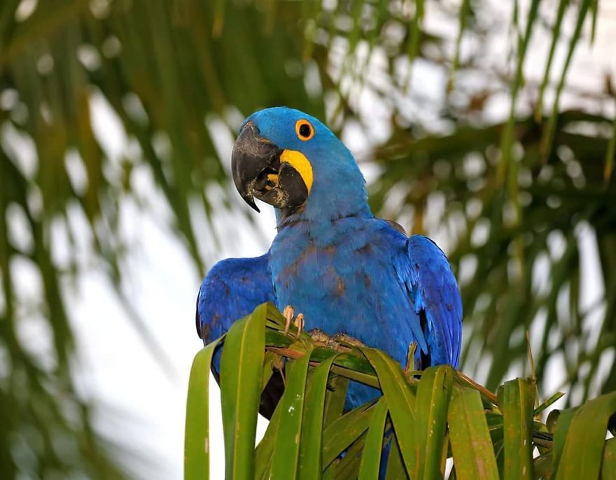 This Russian Photographer Travels To Dangerous Places To Show The Beauty Of Wildlife
