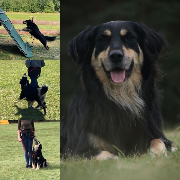 My Favourite Hobby Is Definitely Spending Time And Train With The “Goodest” Boy Around