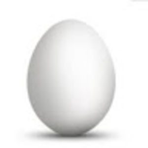 eggfriend avatar