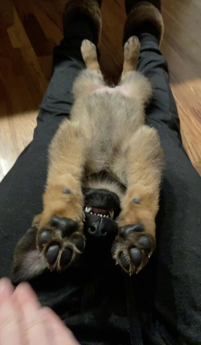 So Sweet, But So Bad At The Same Time