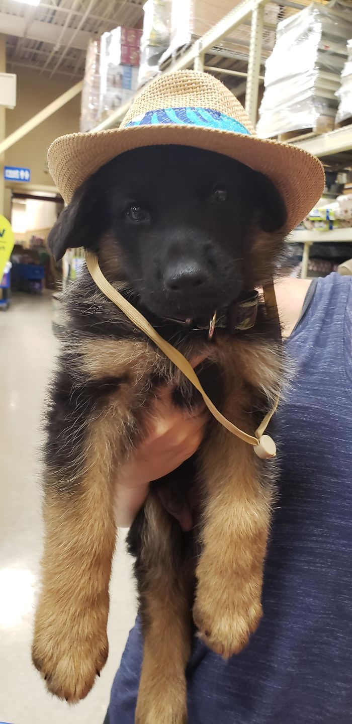 Picked Out A New Hat For The Beach