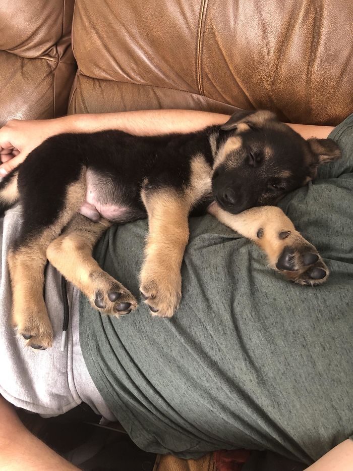 I Just Can’t Get Over How Cute This Little Nugget Is