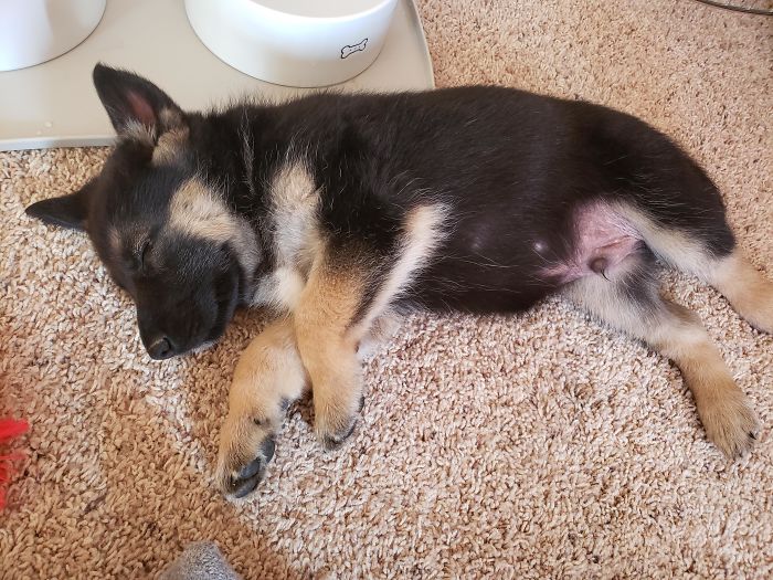 Everyone Meet Archer