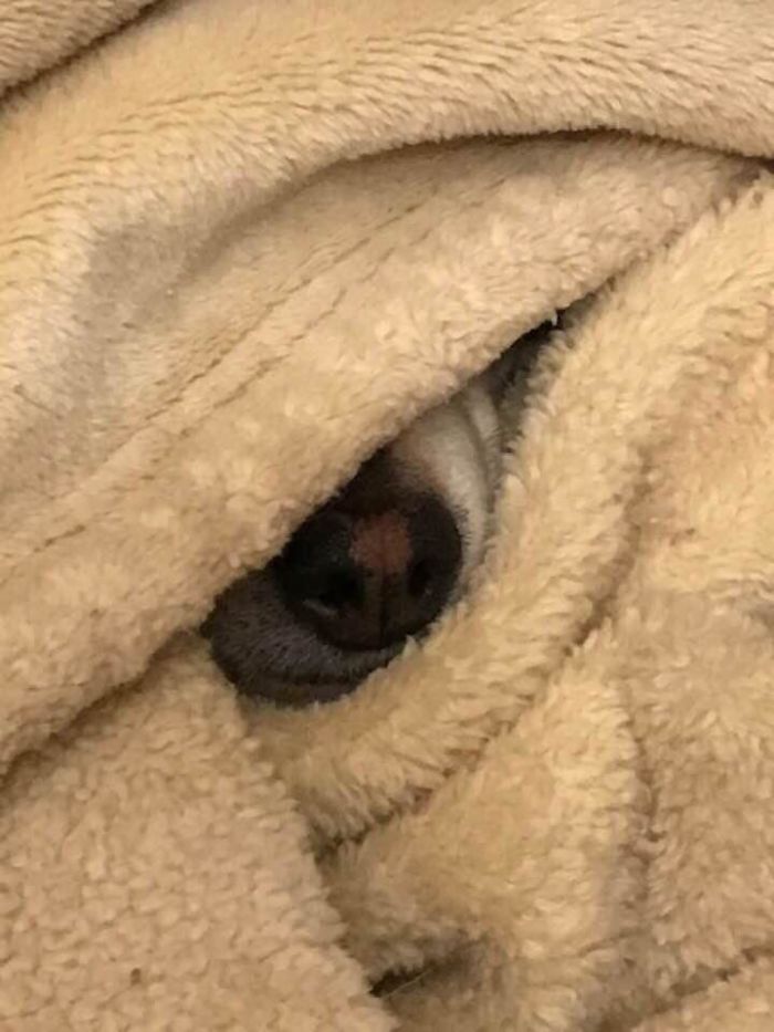 The Wrinkled Eye Of An Ancient Priest