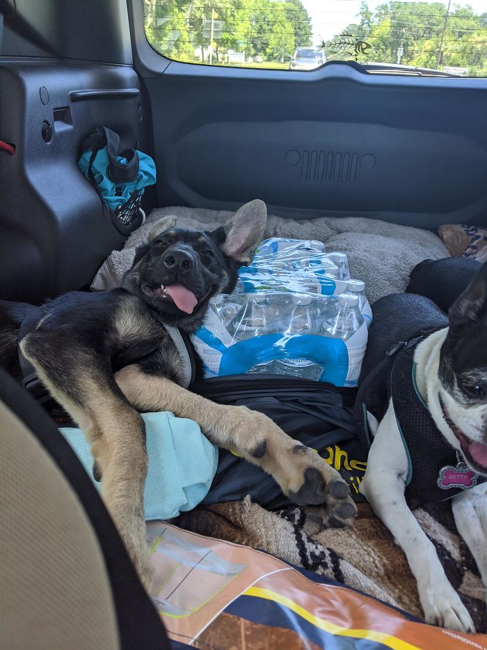 This Is Asuka Worn Out From A Hike