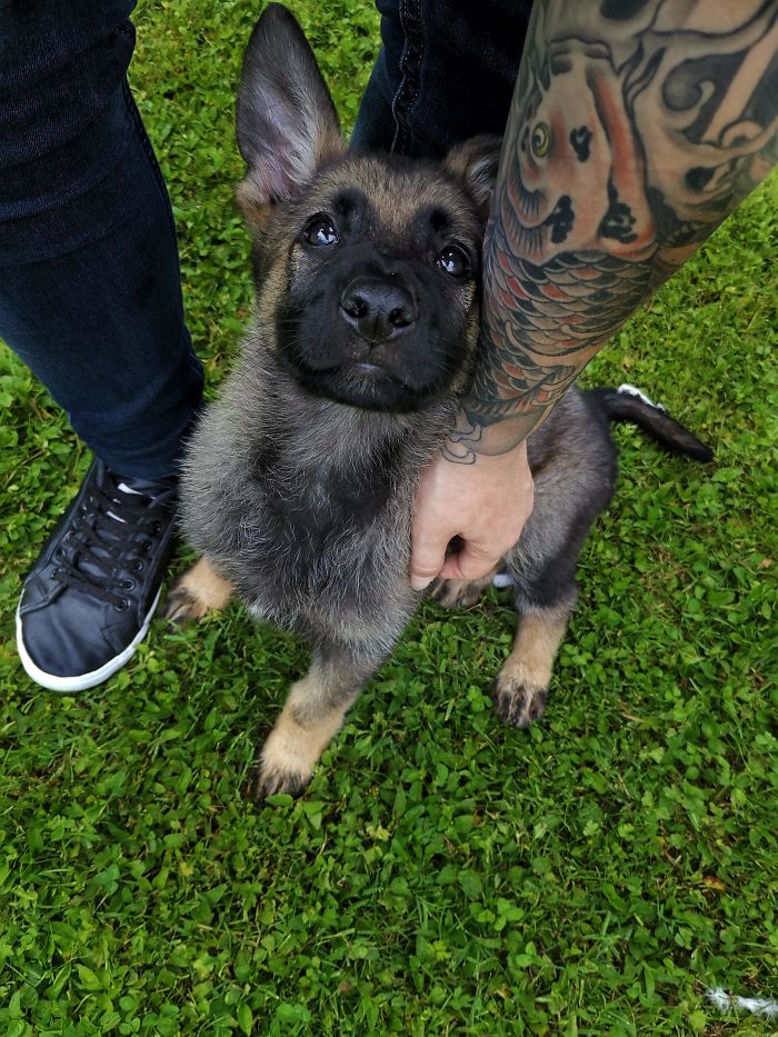 Meet Hiroki, My New Additional Best Friend For (Hopefully) Many Many Years