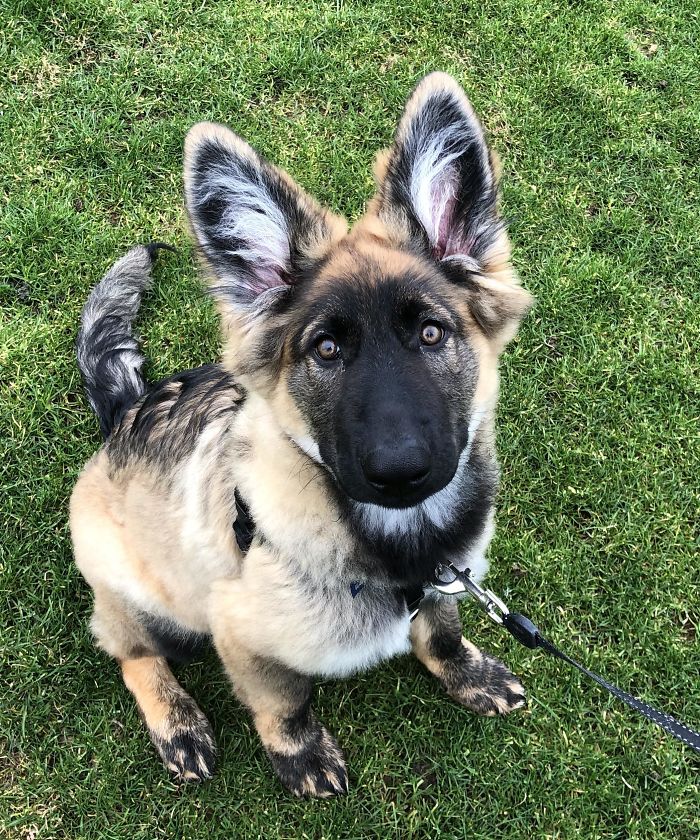 She’s Not Turning Out The Color Everyone Said She’d Be But I Think She’s Even Prettier This Way