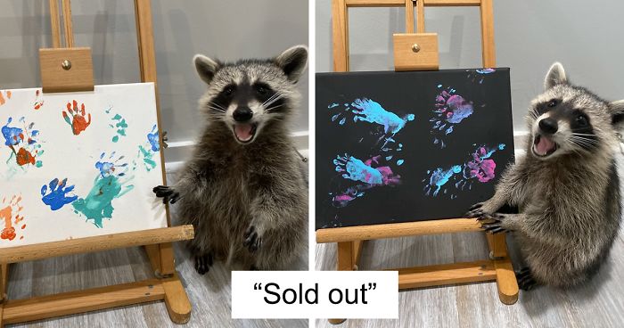 These Raccoons Are Selling Their Paintings And They're So Proud Of ThemThese Raccoons Are Selling Their Paintings And They're So Proud Of Them