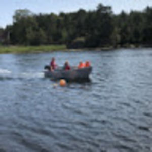 gabriellagreenwood avatar