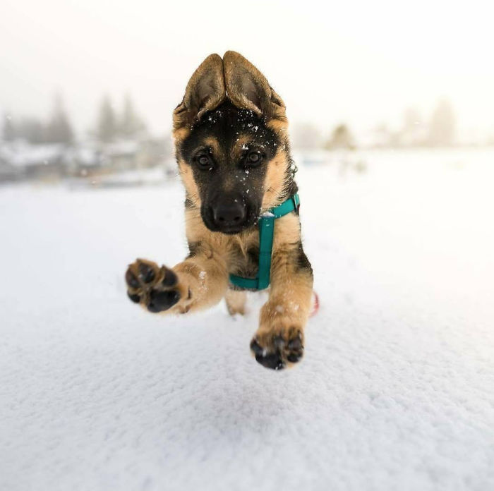 I Played In The Snow For The First Time Today