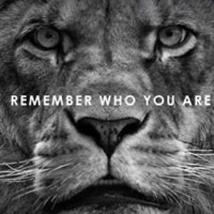 vladimir_riviero avatar