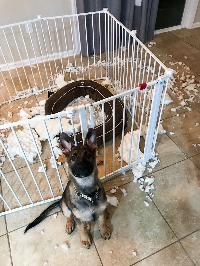 “I Regret Nothing”