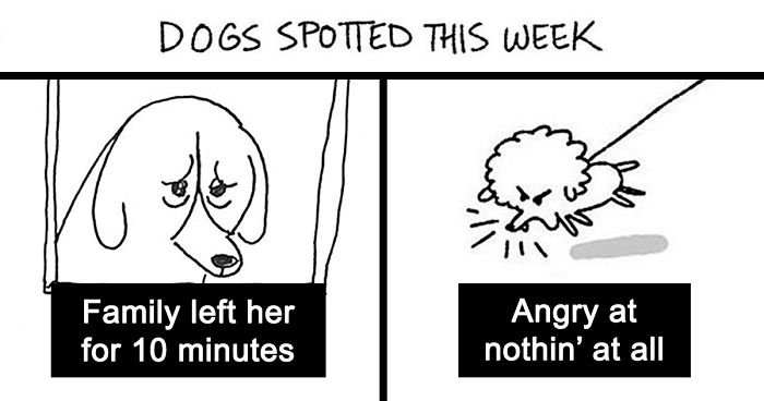 Artist Illustrates The Personalities Of Dogs She Spots Every Week In “The Good Boy Report” (35 Pics)