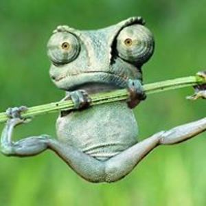 janetelizabethbird avatar