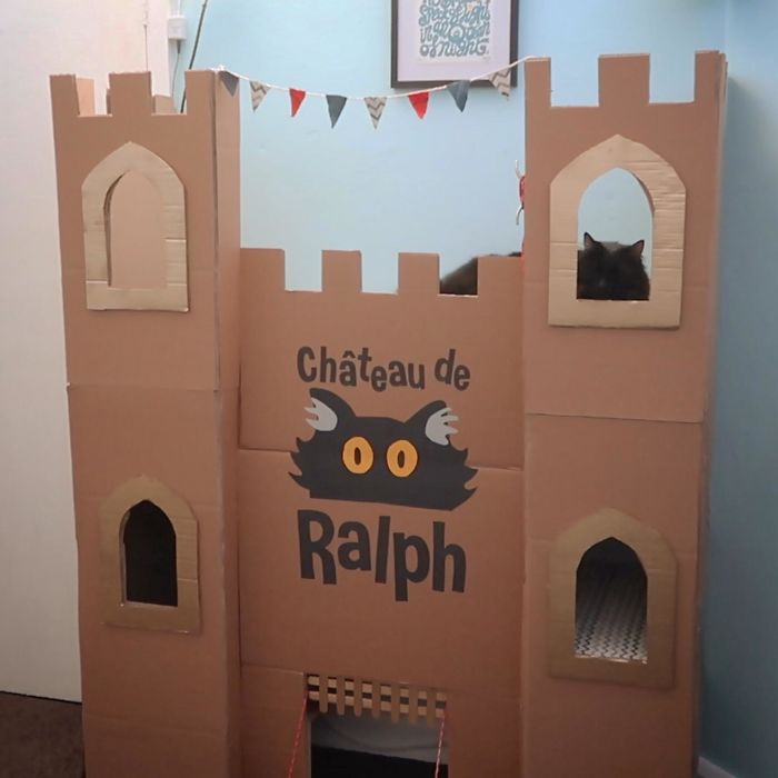 Cardboard cat fort designed as a castle with cutout windows, offering an ecological solution for repurposing boxes.