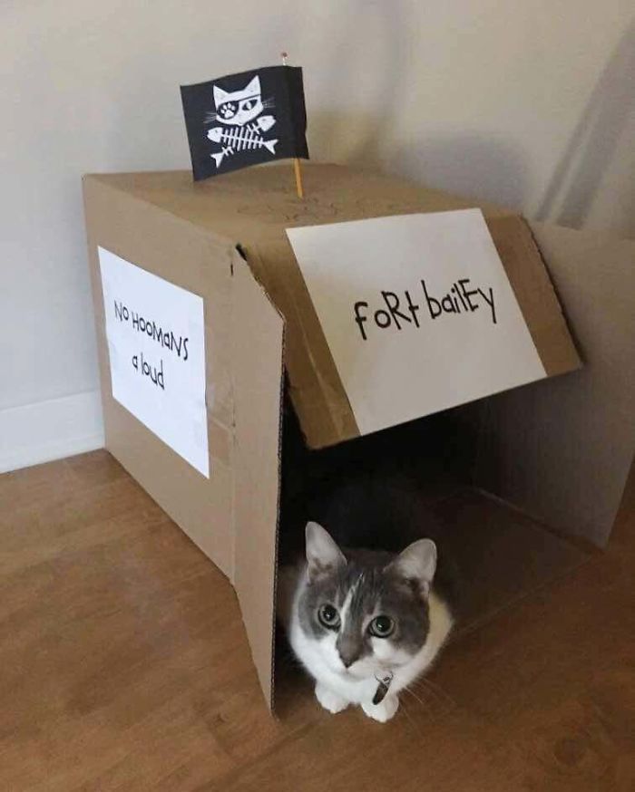 Welcome To Fort Bailey - No Hoomans A Loud.