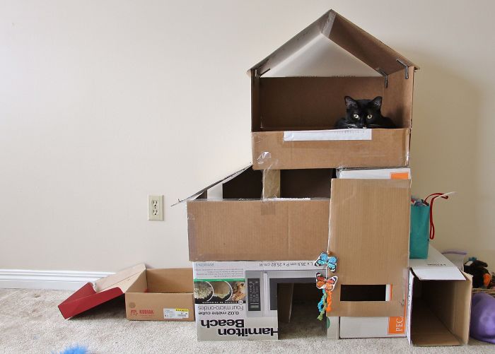 Your Authority Is Not Recognized Inside Fort Kickass