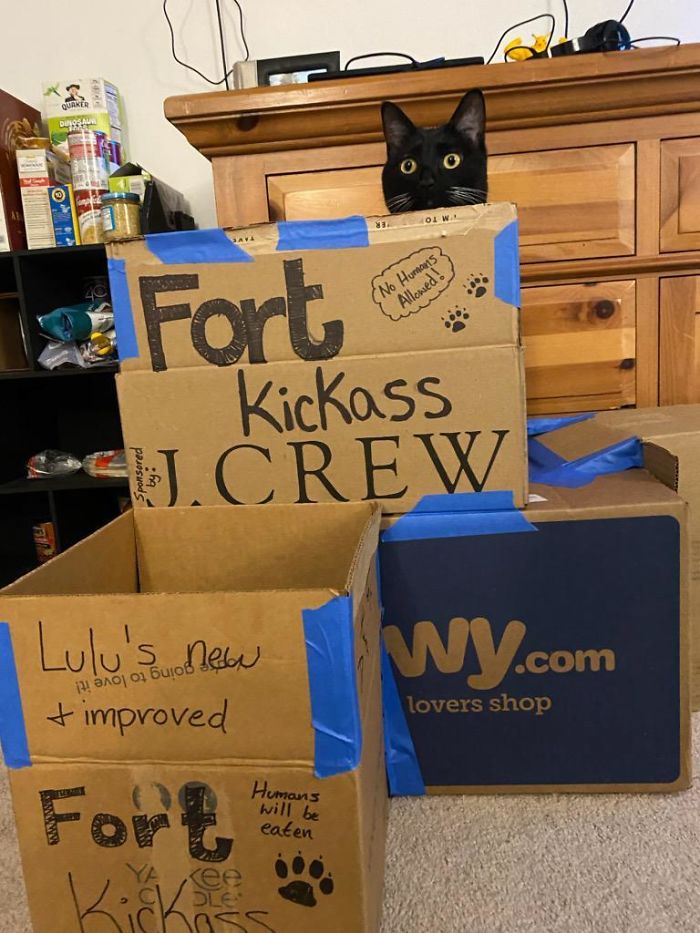 Fort Kickass. Sponsored By J. Crew