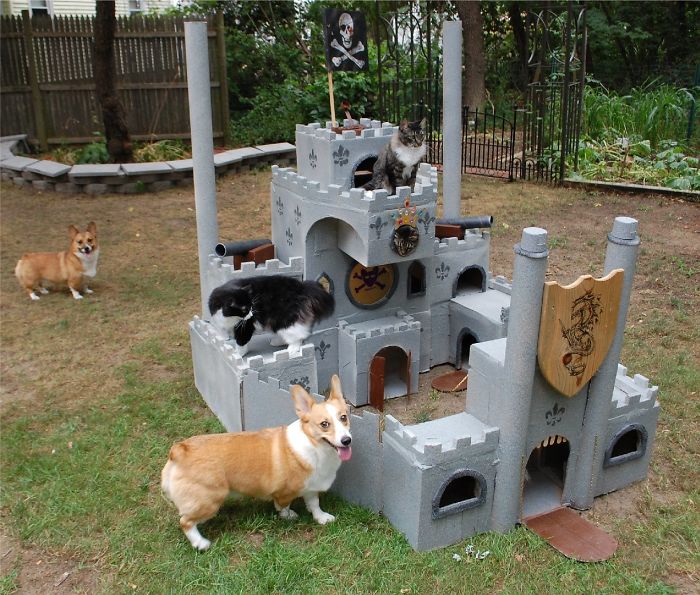 Two cats sitting on a detailed cardboard fort surrounded by two dogs in a backyard, showcasing an ecological cardboard fort.