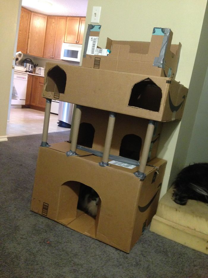 Two-level cardboard fort built for cats using recycled boxes as an ecological solution indoors.