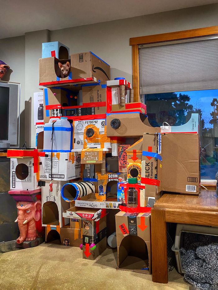 Large cardboard fort made from boxes with entrances and tunnels built for a cat inside a living room.