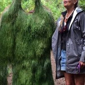 gretchenweddings avatar