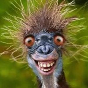 dick_vanmeter avatar