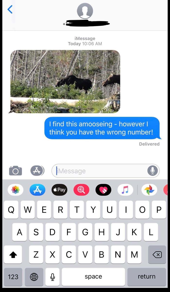 Wrong-Texts-Bringing-Chilli