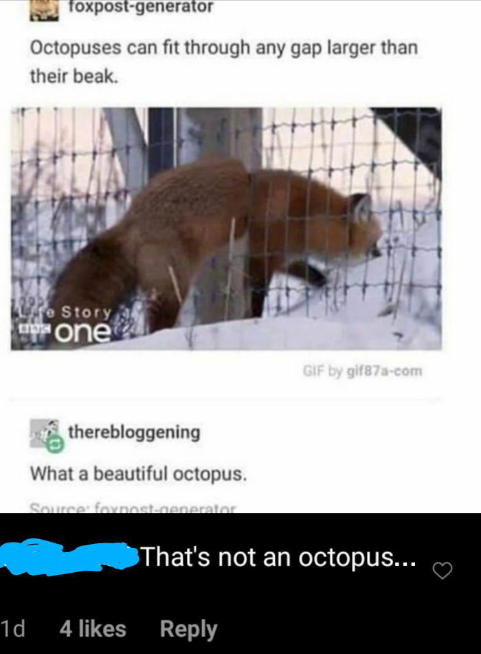 What!? I Couldn't Tell!