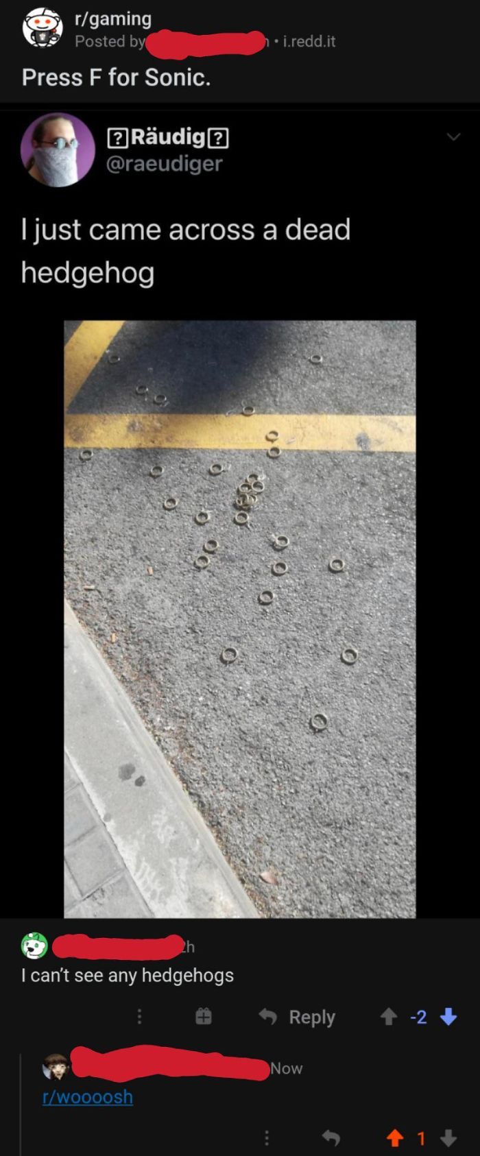 Where Were You When Sanic Was Kill