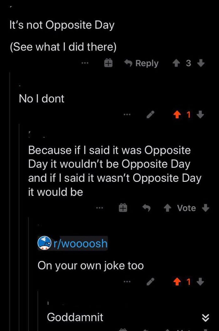 Jokes Fly Donu2019t They?