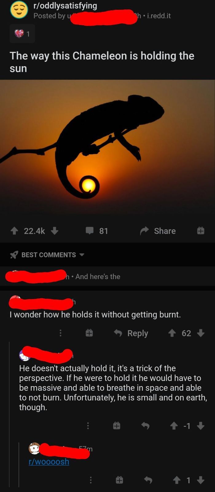 I'm Pretty Sure He's Holding It