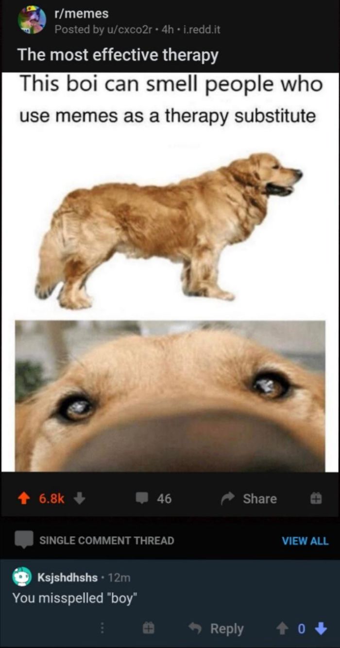 I Swear,at This Point I Don.t Even Know If They Mean It Or They Do It For Fun