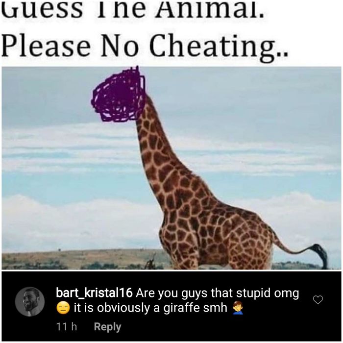 Its Clearly A Monkey Wym?