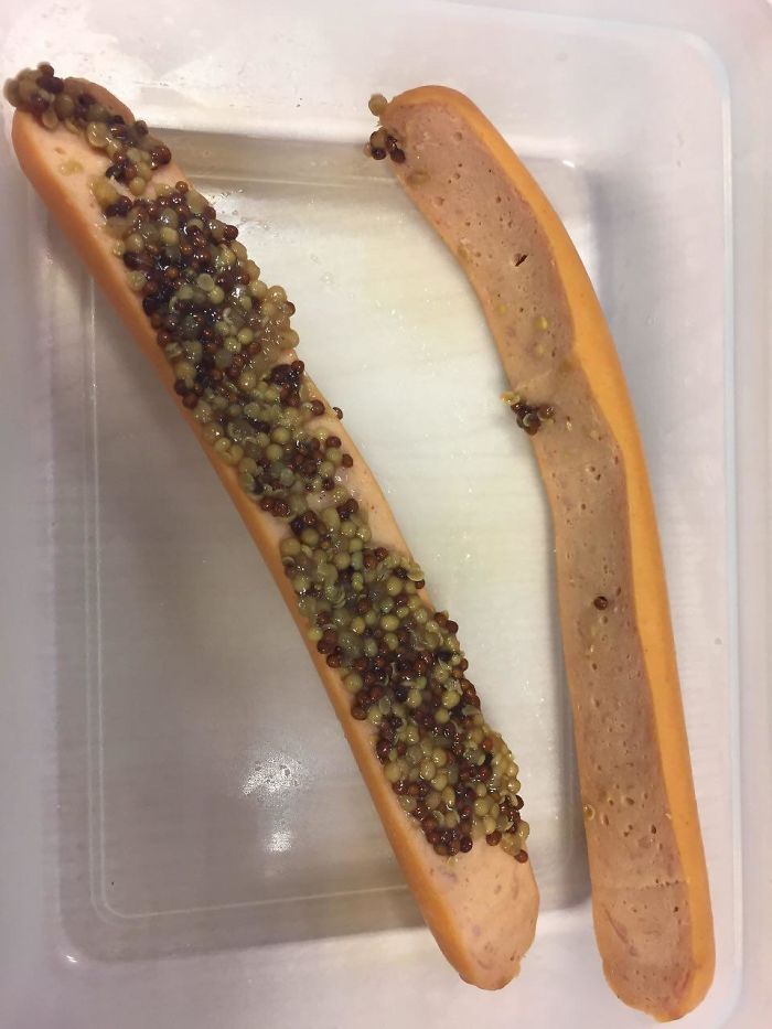 “Make Me A Hotdog With Mustard”