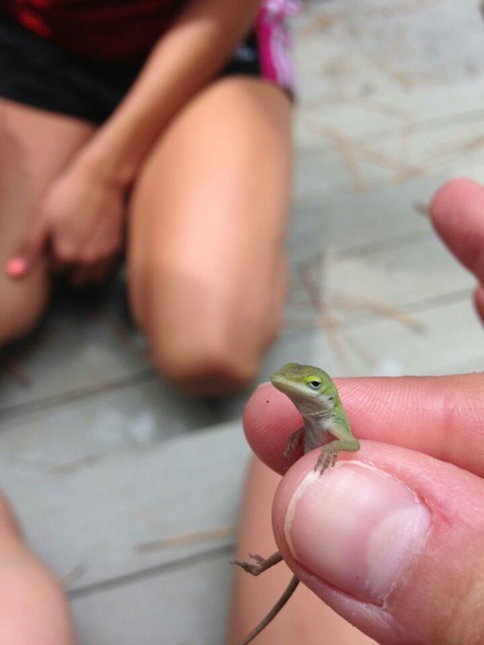 My GF Is On Vacation And Sent Me This Picture. I Found It Hilarious And Thought I'd Share