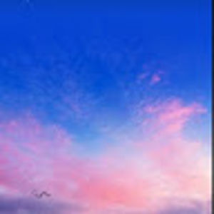 shavonnesimpson avatar