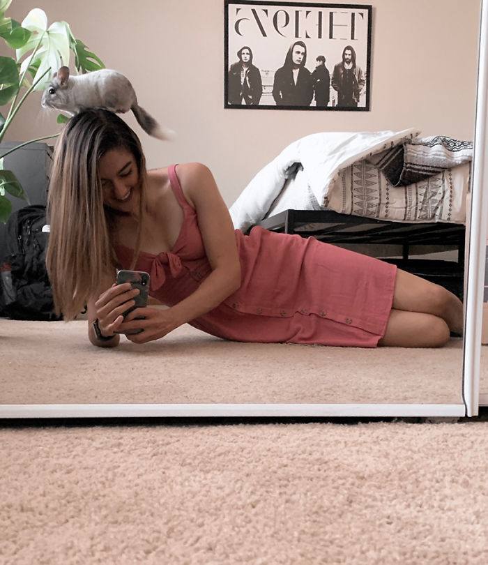 Rescued An “Aggressive” Chinchilla From A Home With 3 Dogs Yesterday. The Little Guy Has Been My Best Friend Since We Met