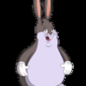 extremelybigchungus avatar