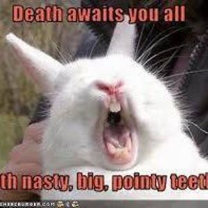 nortman_christine avatar