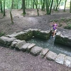 tonberry_cute avatar